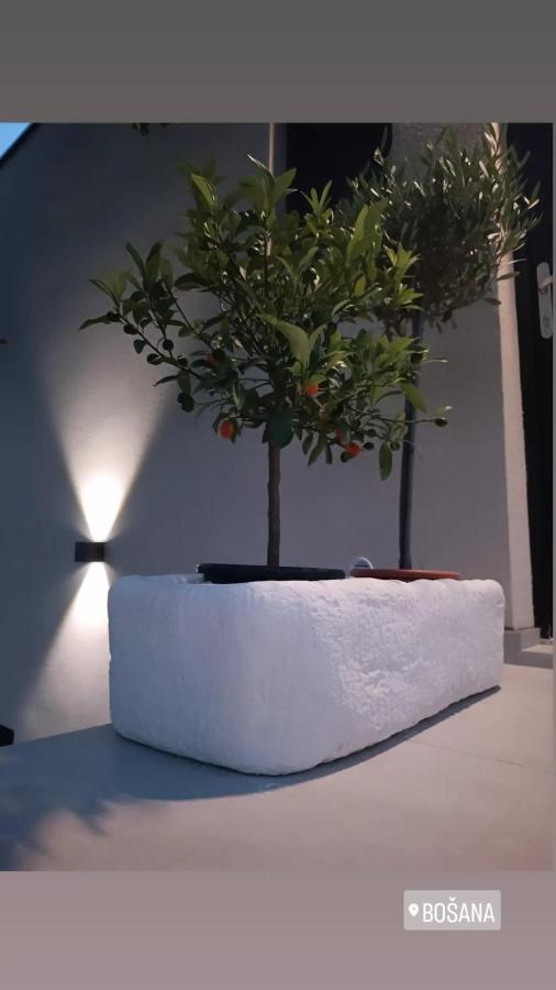 Villa Panama Bosana Εξωτερικό φωτογραφία