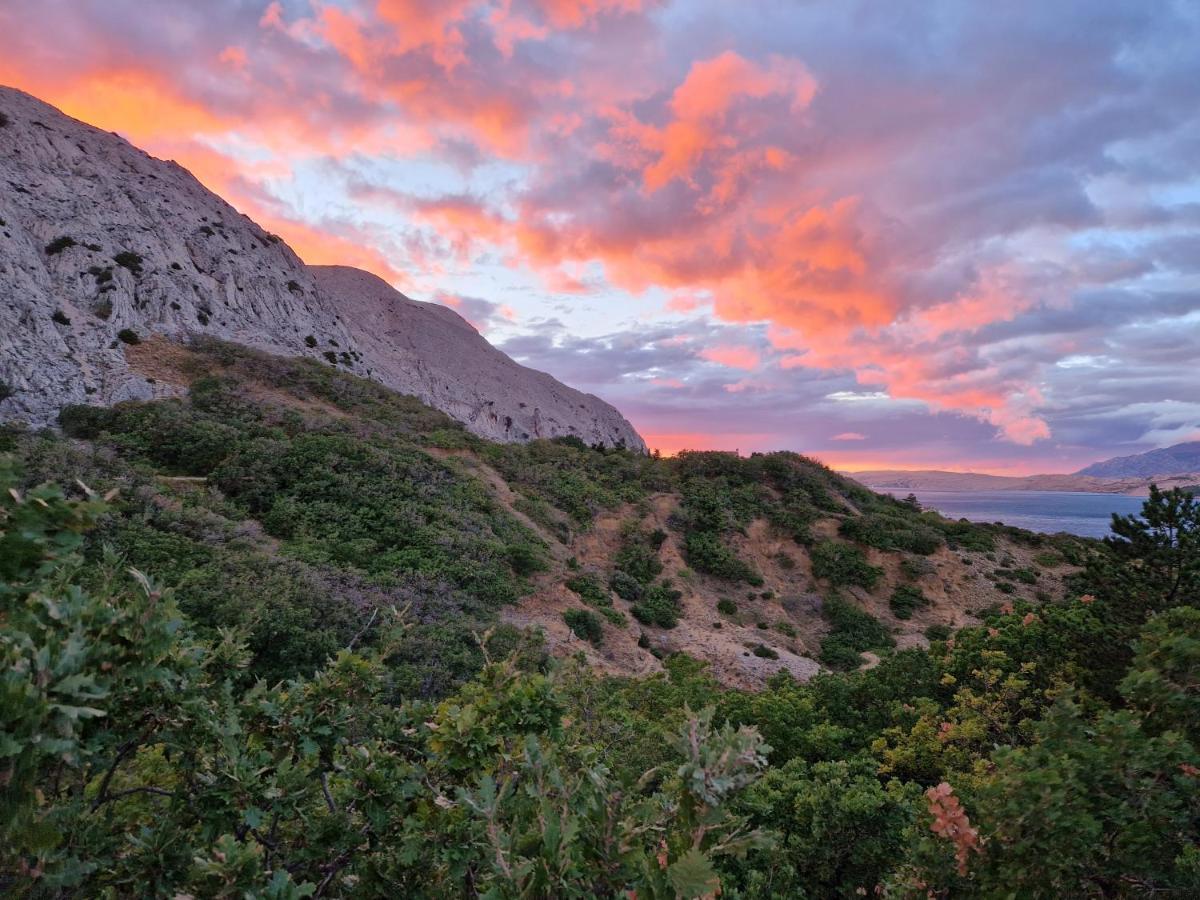 Villa Panama Bosana Εξωτερικό φωτογραφία